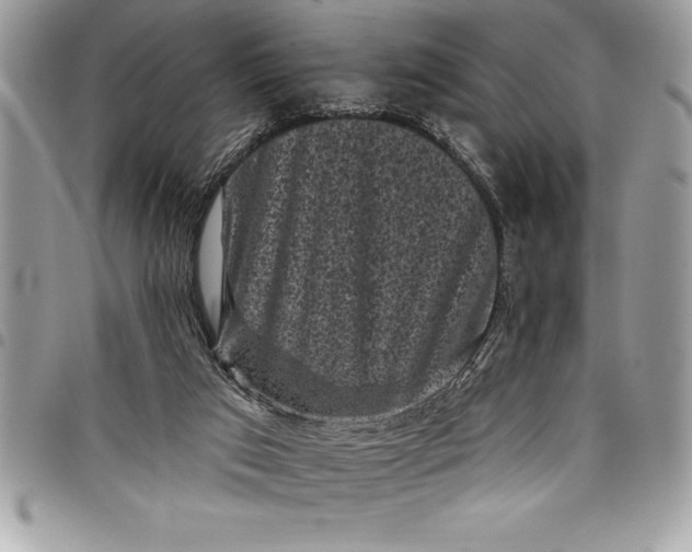 X0000097890017200803281256