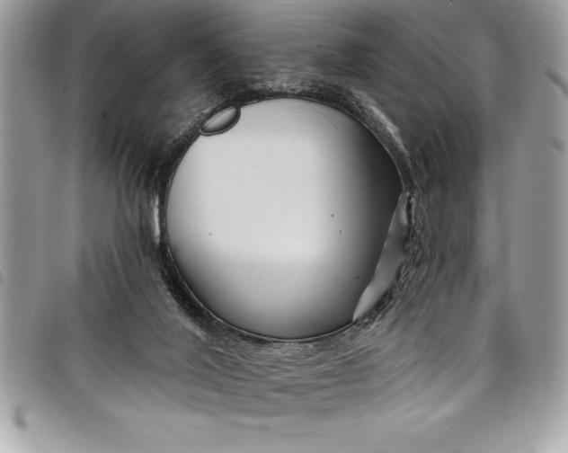 X0000097890020200803281256