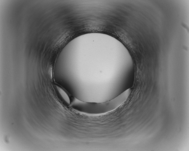 X0000097890021200803281256