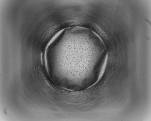 X0000097890022200803281256