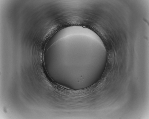 X0000097890023200803281256