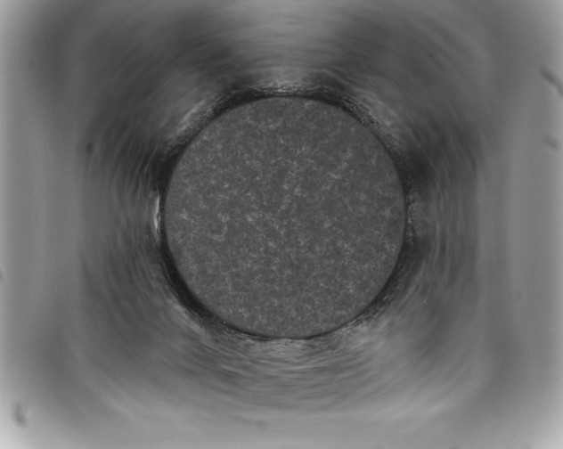 X0000097890024200803281256