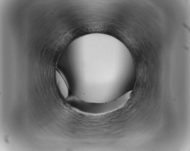 X0000097890025200803281256