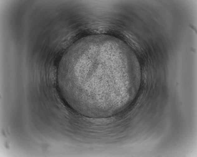 X0000097890030200803281255