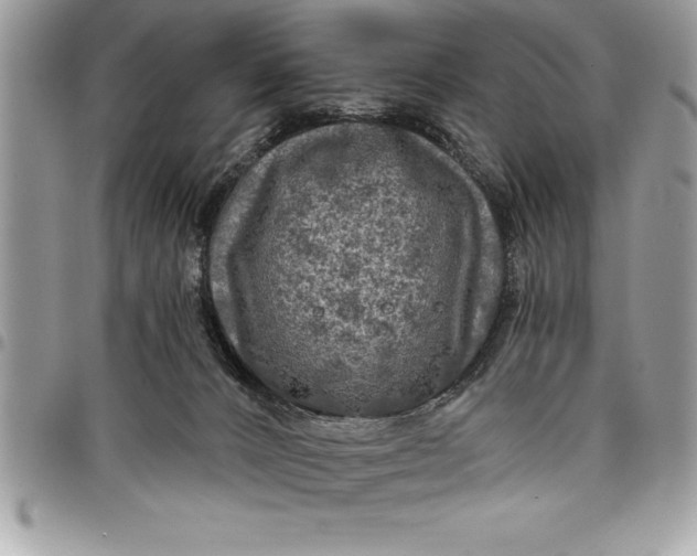 X0000097890032200803281255