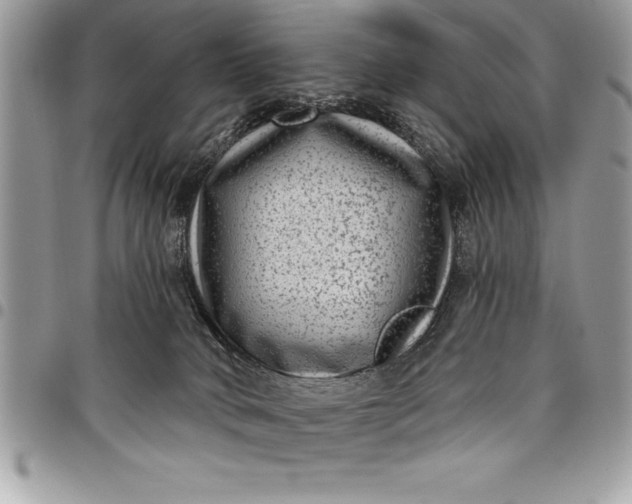 X0000097890034200803281255