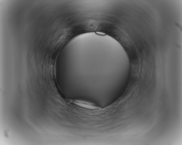 X0000097890035200803281255