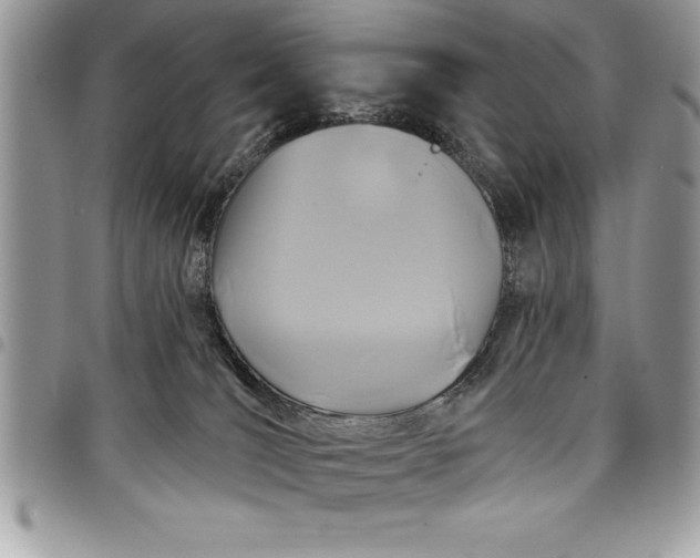 X0000097890036200803281255