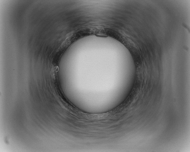 X0000097890038200803281255