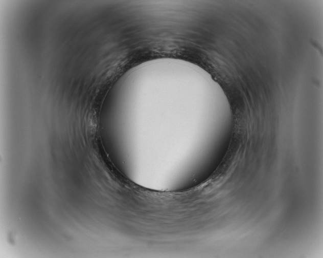 X0000097890040200803281255