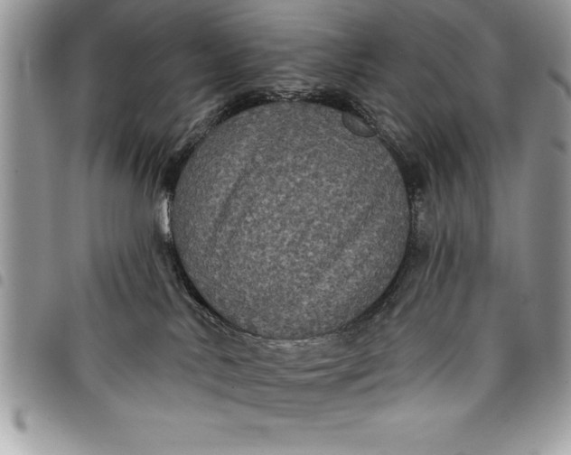 X0000097890042200803281255