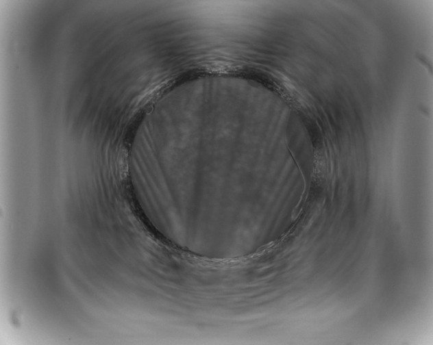 X0000097890043200803281255