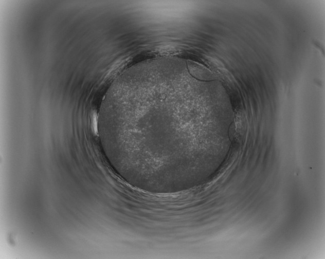 X0000097890046200803281255