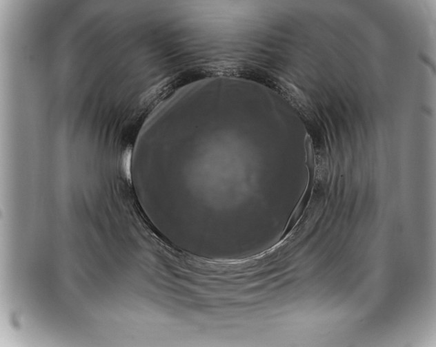 X0000097890047200803281255