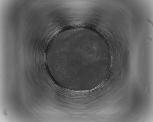 X0000097890048200803281255