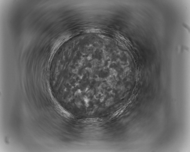 X0000097890049200803281255