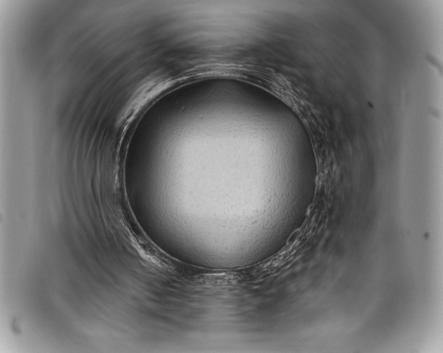 X0000097890050200803281255