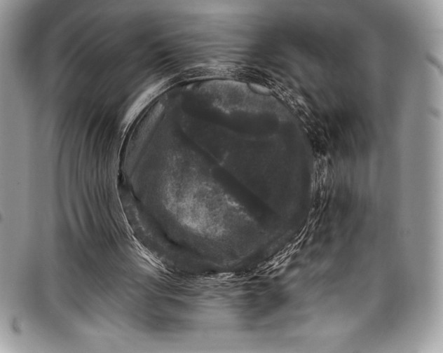 X0000097890051200803281255