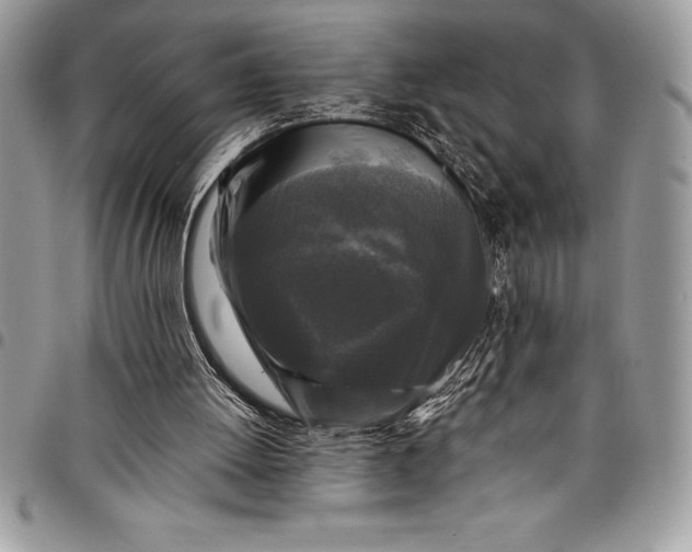 X0000097890052200803281255