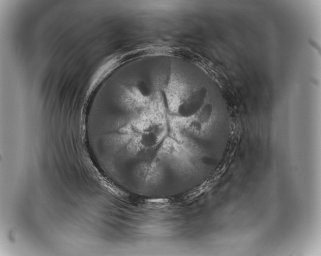 X0000097890053200803281255