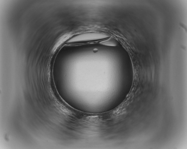 X0000097890054200803281255