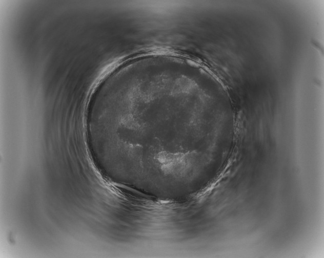 X0000097890055200803281255