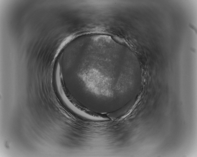 X0000097890056200803281255