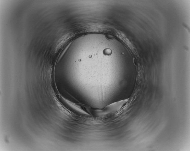 X0000097890058200803281255