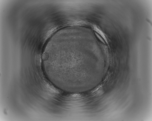 X0000097890059200803281255