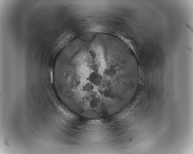 X0000097890061200803281255