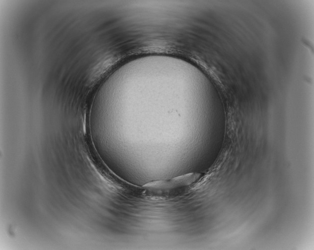 X0000097890062200803281255