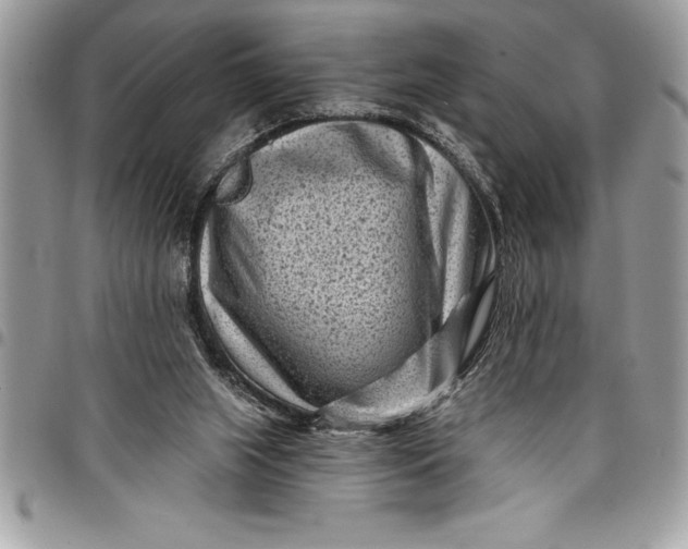 X0000097890063200803281255