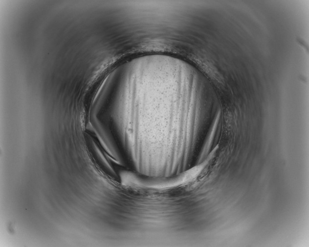 X0000097890064200803281255