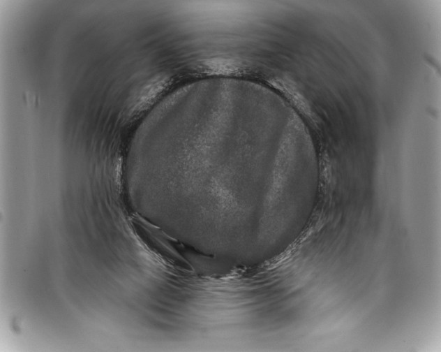 X0000097890066200803281255