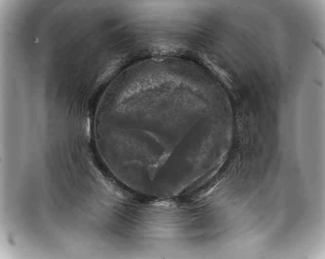 X0000097890067200803281255