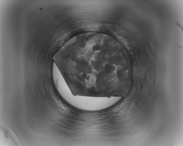 X0000097890069200803281255