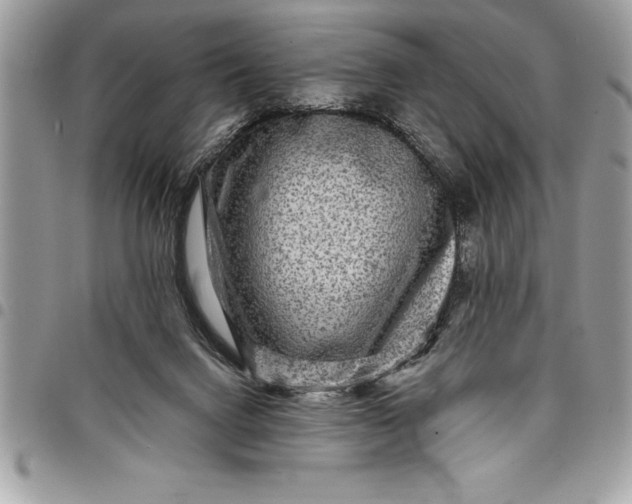 X0000097890072200803281255