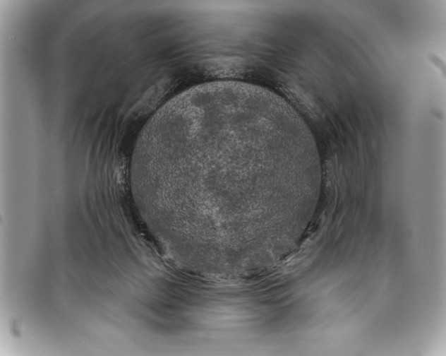 X0000097890073200803281255