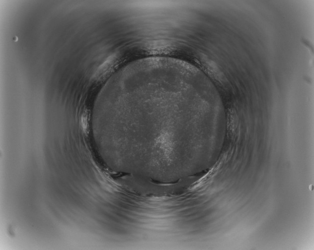 X0000097890074200803281255