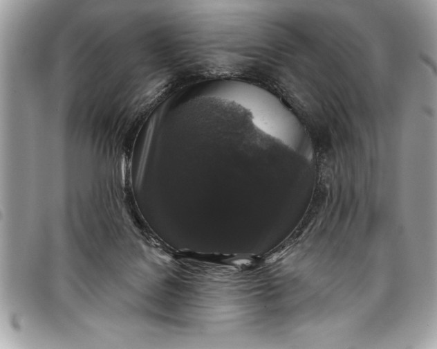 X0000097890076200803281255