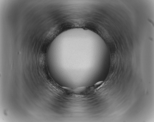 X0000097890078200803281255