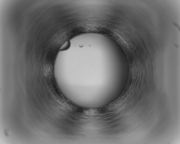 X0000097890079200803281255