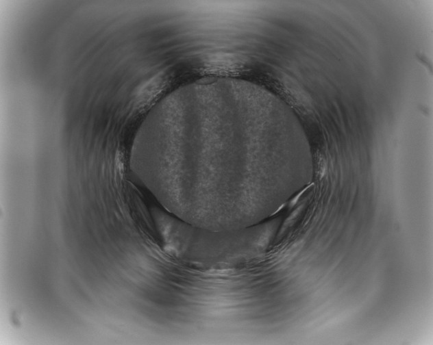 X0000097890080200803281255