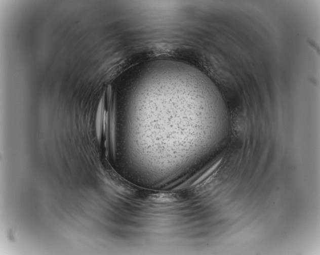 X0000097890082200803281255