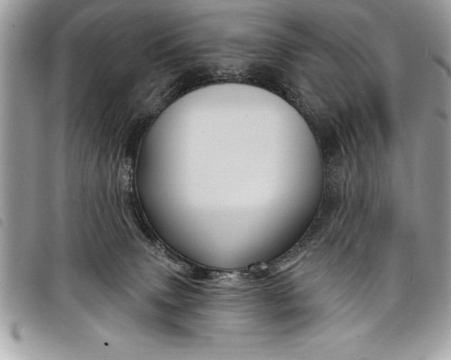 X0000097890083200803281255