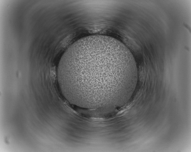 X0000097890085200803281255