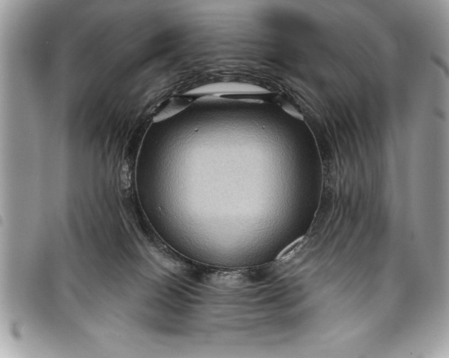 X0000097890086200803281255