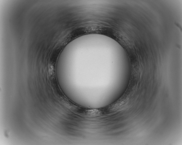 X0000097890087200803281255