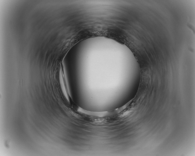 X0000097890088200803281255