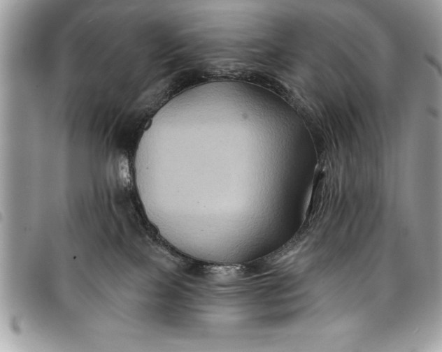 X0000097890089200803281255